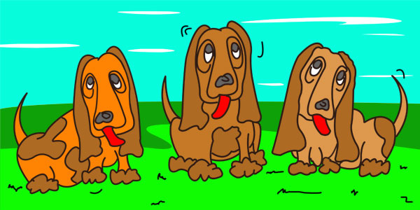 Furry Cousins Jasper-Kasper-n-Rasper