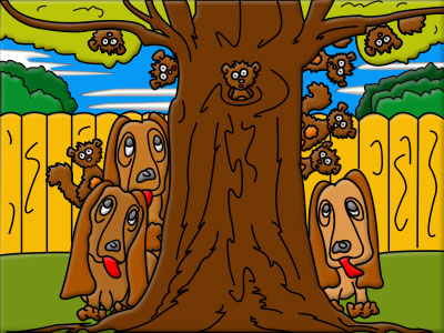 Nephews Squirrels Hiding