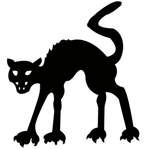 Black Cat