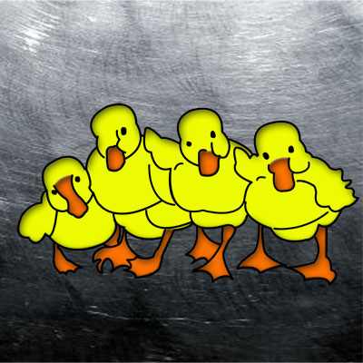 Ducks In A Row