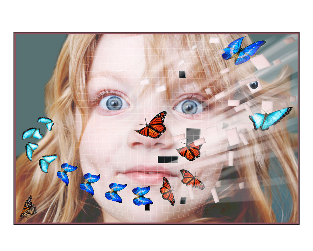 Butterflies