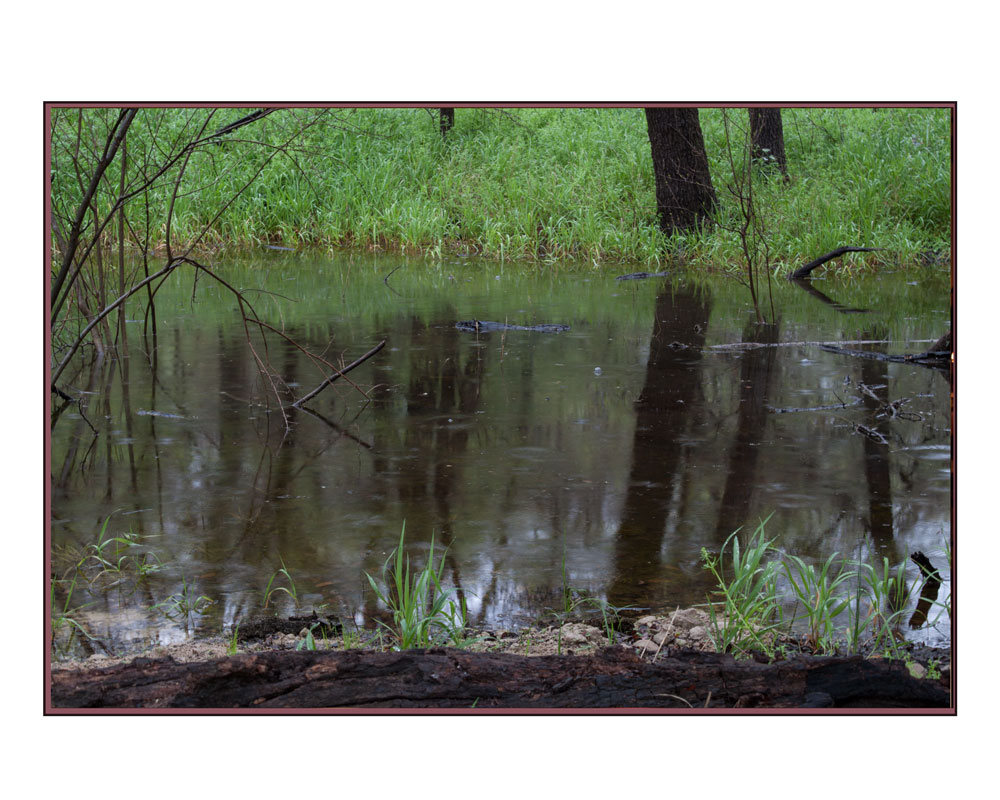 Trinity River Rain